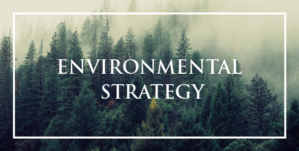 ENVIRONMENTAL STRATEGY